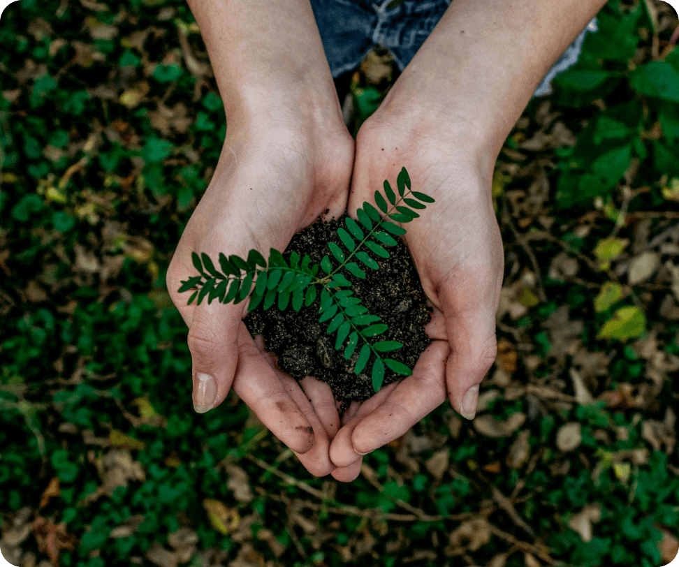 Social Innovation Impact
