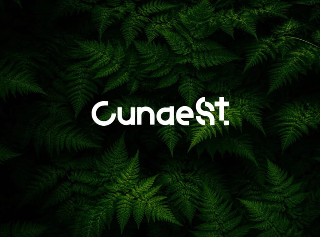 한국사회투자, '재단법인 큐네스티'로 사명 변경